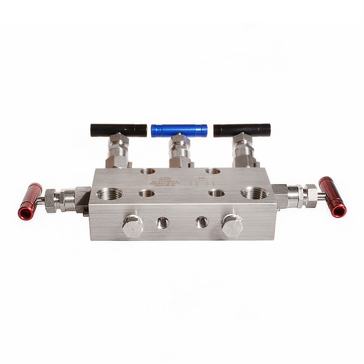 5 Way Valve Manifolds