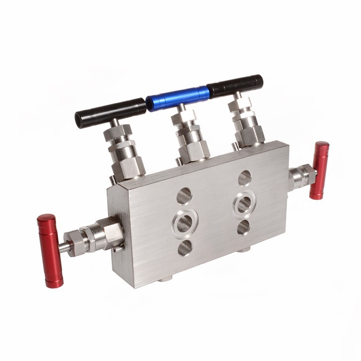 5 Way Valve Manifolds